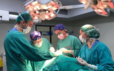 Coordinación entre el Servicios de Anestesia y Otorrinolaringología