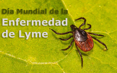 Día Mundial de la Enfermedad de Lyme