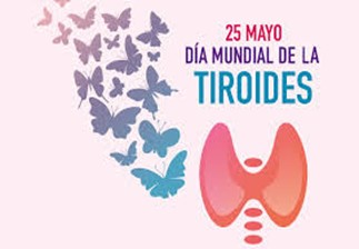 imagen_tiroides