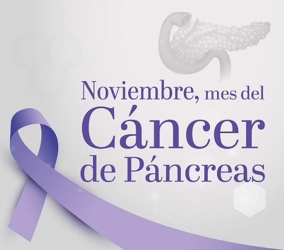 imagen_pancreas